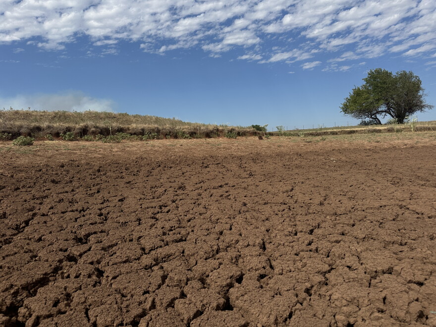 A dry pond in a field in Kingfisher County.