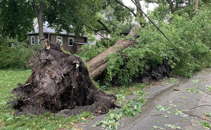 High winds and heavy rain led to downed trees, power outages and flooded streets across Bloomington-Normal.