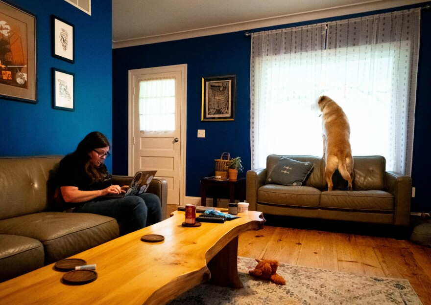 Allison Drieth, the Director of Strategic Partnerships at the Midwest Access Coalition, works at her computer while her dog Delta, a 3-year-old Yellow Lab mix, looks out the window