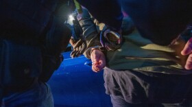 In a file photo from the Defense Visual Information Distribution Service, ICE officers arrest a man in 2022 in Manassas.