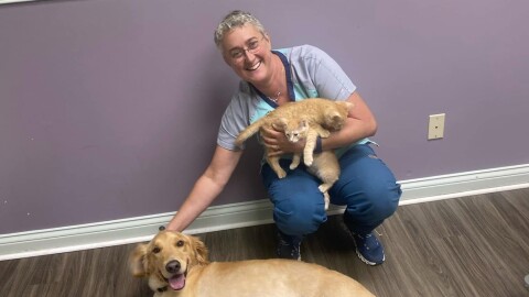 Dr Catherine Donworth is a small animal vet at the Animal Medical Center on Romany Road in Lexington