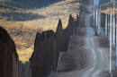360 douglas border wall tall