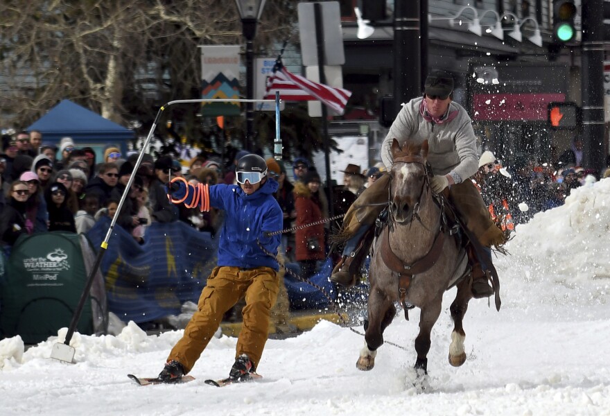 How Do People Name Horses: Creative Ideas and Traditions