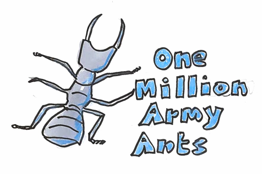 Imagine 1 million army ants.