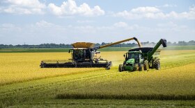 Heath Stephens and his crew harvest rice on the farm he operates in Arkansas County near Stuttgart with his father, John Stephens.