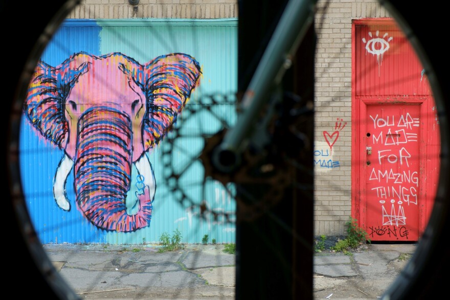 elephant.jpg