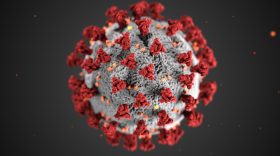 The SARS-CoV-2 molecule has a “spike protein” that it uses to hook into and invade certain cells in the body. (Courtesy of the CDC)