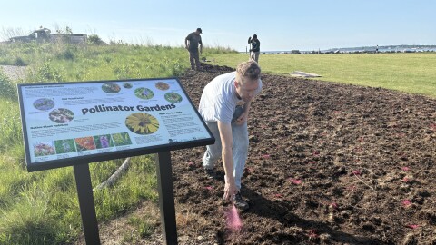 Eric Manges marks the spots where 2,000 native plants will be added to Lakeshore State Park.
