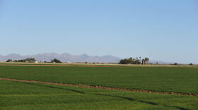 Verdant farmland runs along the Arizona-California state line.