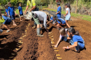 Keiki from Nā Wai Ola Public Charter School learn how to plant ginger at ʻĀina University.