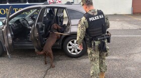 A dog helps screen a vehicle at the gate of Naval Station Norfolk in mid-March. The dogs are trained to detect explosives, narcotics, and other prohibited items.