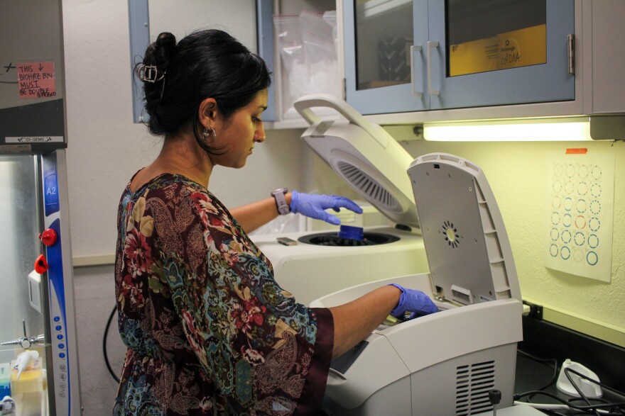 A young woman wearing disposable gloves works with lab equipment. 