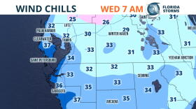 While temperatures well below freezing are expected in the northern part of Florida, they'll drop into the lower 30s, with even lower wind chills, in some parts of the Tampa Bay area.