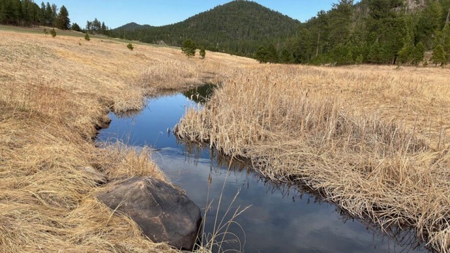 A picturesque stretch of French Creek below the proposed discharge point for treated municipal wastewater