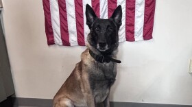 Antigo K9 officer with drugs it helped find
