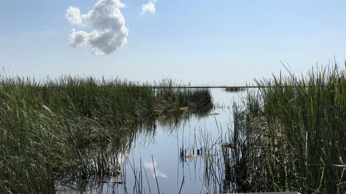 Everglades scientist could face jail in bitter fight over records - Vimarsana News