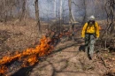 Nathan Speagle walks along the edge of a burn unit as he and other members of The Nature Conservancy’s Illinois Chapter control burn portions of the Shawnee March 25, 2026, in Makanda, Illinois.