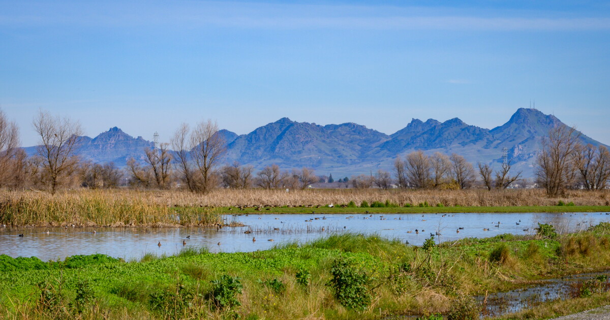 Sutter Buttes