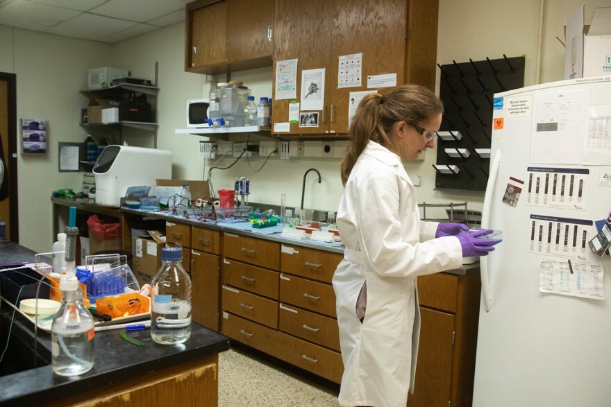 UT Austin researchers make headway toward universal coronavirus ...