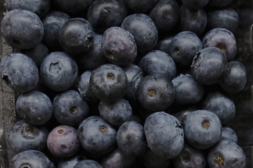 Blueberries are pictured at a stand in West Side Market in Cleveland, Ohio. But the image is so close up that only the numerous blueberries are visible. 