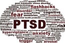 Marine Corps Logistics Base, Barstow, CA, image promoting PTSD awareness