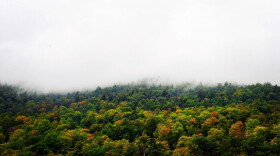 Early fall color in Port Henry in the Adirondacks. Photo: Emily Russell