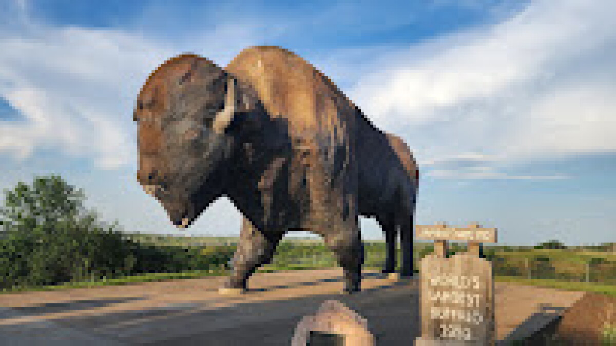 Tourism professionals push 'destination marketing' -- including Bison World, proposed for Jamestown - Vimarsana News