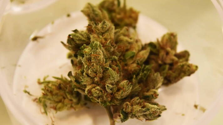 A marijuana flower.