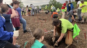 A group of girls watch a woman plant a sapling in the ground. In the background, several other groups of people are also planting trees. 