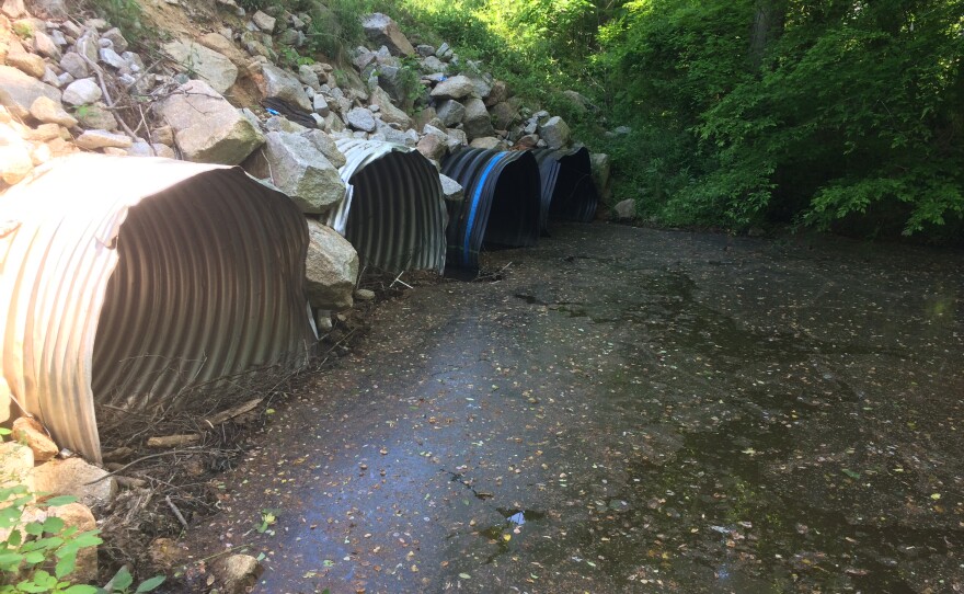 Obstructed culverts on the east side of Gills Creek Road.