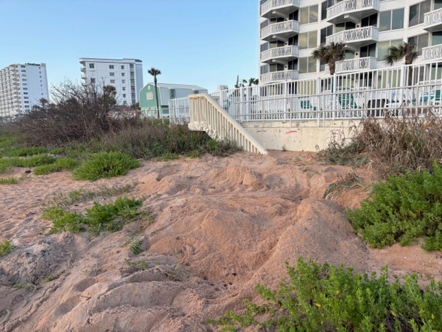 A leatherback sea turtle’s nest was found on Ormond Beach on Friday, 20 days ahead of the season’s official May 1 start, according to Volusia County.