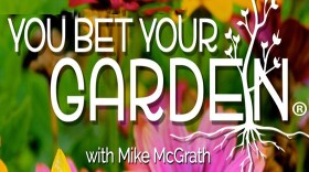 You Bet Your Garden with Mike McGrath