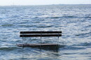 Sea level rise can do more than cause higher tides than normal: A new study found rising oceans can ruin job prospects in communities along the Gulf Coast experiencing a rise in ocean levels