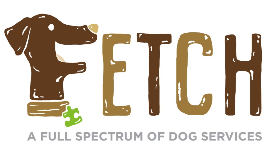 fetch.jpg