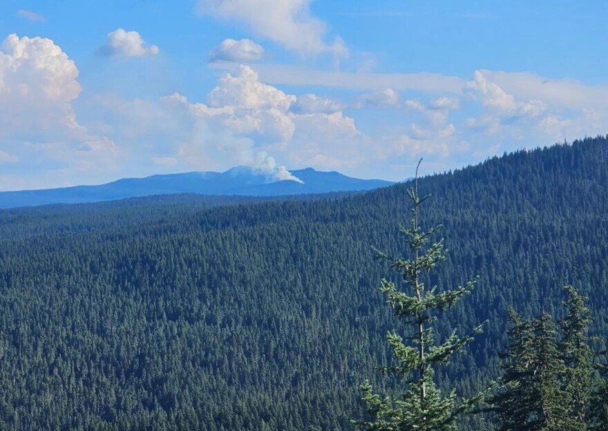 A wildfire seen in the distance amid a vast area of trees. 