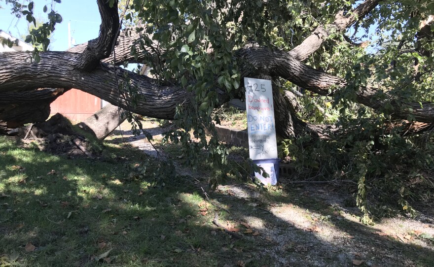 A Do Not Enter sign was installed to keep onlookers away from a beehive in one of the branches of this downed elm tree. (Photo by Danny Mantyla) 