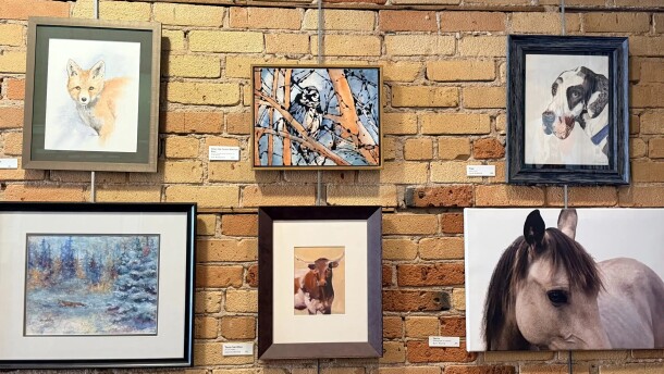 Six framed works of art (all of animals) hanging on a brick wall