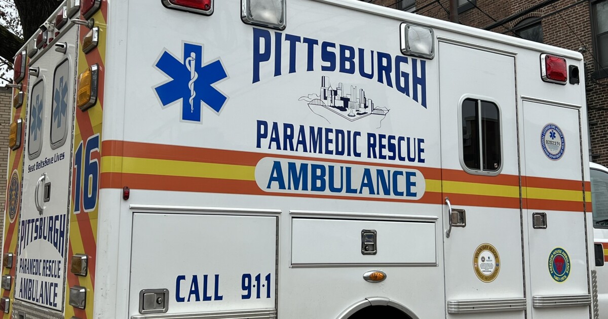 Nonprofit support of Pittsburgh’s vehicle fleet may mean 2027 savings, officials say
