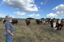 Wilburn Harris calls out to his cows on his farm in Drexel, Mo., Monday, Sept. 16, 2024. He owns about 70 head of cattle and would have had to sell many last year if not for federal drought relief.