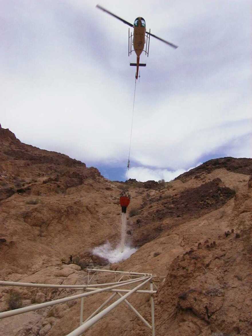 game and fish fill a water catchment