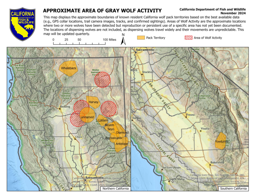 Map Of Wolves Found New grey wolf pair found in Northern California as population grows ...
