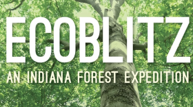 The Indiana Forest Alliance would like to see the two state forest areas designated as a type of High Conservation Value Forest — which would allow for more old growth trees.