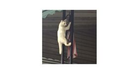 Photo credit: Baltimore Heritage