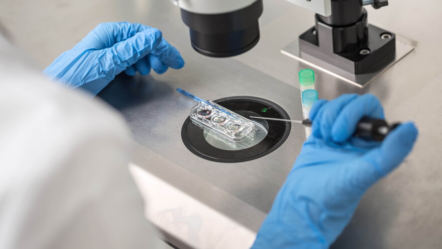 Virginia politicians in Congress and the General Assembly are discussing what Alabama’s decision about IVF means for the state. (Photo courtesy of Shutterstock.)