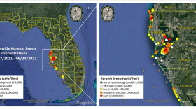 Map of statewide Karenia brevis concentrations from June 17, 2021 to June 24, 2021. 