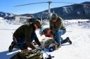 Wyoming Game and Fish Department's wolf specialist Ken Mills tracks and tests wolves for disease on aerial flights each January.