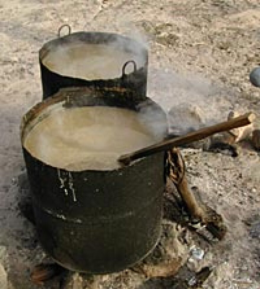 Boiling cauldrons of ground corn -- one of the first steps in creating the corn beer called tesquino.