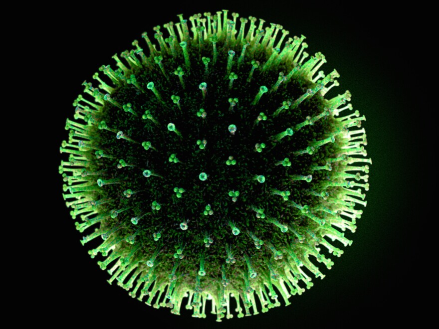 The influenza virus. The small-molecule candidate drug described <strong></strong>in <em>Science</em> this week binds to the "stalks" of the proteins studding the virus' outer coat; in still-early experiments that seems to prevent the virus from infiltrating cells of the human lung.