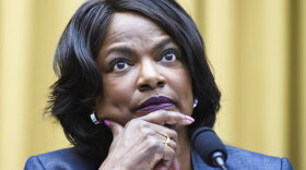 Rep. Val Demings, D, Fla., speaks during a House Judiciary subcommittee hearing on antitrust on Capitol Hill in Washington on July 29, 2020. Demings is launching a bid to oust Florida's Marco Rubio from the U.S. Senate, giving Florida Democrats hope of changing its fortunes at the ballot box. The Orlando congresswoman used a video on social media to begin introducing herself to a wider audience. 