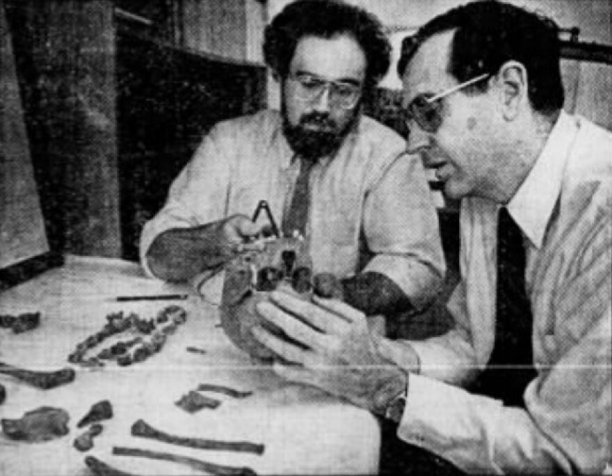 Brian Nagel and Charles Hayes check a skull that had been removed from a burial site in Highland Park in this 1984 Democrat and Chronicle file photo found on Newspapers.com.